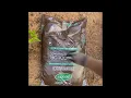 Laying down mulch quick cut - Earthgro Scotts Brown Mulch