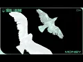 Money - Killfake & Tiësto