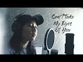 Can't Take My Eyes Off You - Frankie Valli ( Nadiya Rawil Cover )