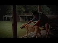 Download Lagu HARDY - Dog Years (Lyric Video)
