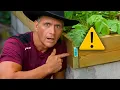 Pressure-Treated Wood in Your Garden Box Here s What You Need to Know