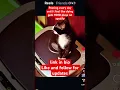 Download Lagu https://open.spotify.com/track/2B3vEF3kQoxsJmKhKm9Jym?si=RWGDKcveQY2WJ-MYOnN1ew #meme #funny #viral