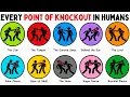 Every Point Of Knockout On The Human Body
