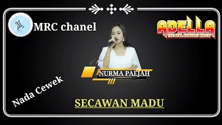 Download Secawan Madu Karaoke Nurma paejah OM ADELLA (karaoke version) MP3