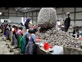 Download Lagu Excellent Korean Mass Production and Manufacturing Process Video