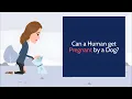 Can a Human get Pregnant by a Dog