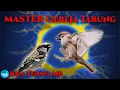Download Lagu MASTER GEREJA TARUNG JEDA TERAPI AIR
