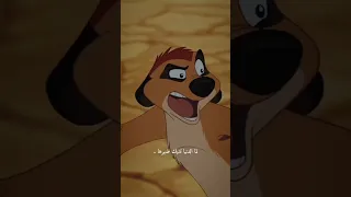 ادي ظهرك للدنيا تيمون تيمون وبومبا كرتون انمي نصيحة حكم حكمة اليوم حكمة 