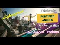 Reasons why Fortified Ankles are way better than Reinforced Tendons Cyberpunk 2077