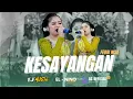Lagu KESAYANGAN - FEBRI NISA - TJ MUSIC ( Official video live ) AS OFFICIAL HD