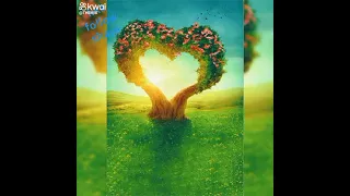 ياللى سألتوا هل داق الولع محمد منير بدون موسيقى ترند محمد منير بدون موسيقى 