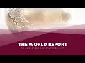 The World Report of The Church of Jesus Christ of Latter-day Saints - October 2025