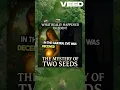 Download Lagu The Mystery of The Two Seeds in The Garden of Eden