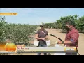 Ott Farms