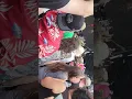 Sabaton Louder than Life 2026 - Templars (with Leigh from pop evil)