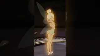 Tinkerbell the mirror reflection