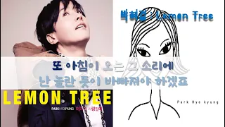 박혜경 Lemon Tree 레몬트리 5번 반복 