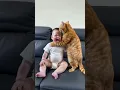 Download Lagu Seeing the baby crying, my cat has been comforting him and wiping his tears. What a heart-warming