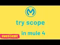 Mule 4 Try Scope Explained Step-by-Step Tutorial