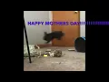 Nala bunny wishes you a happy Mother s Day