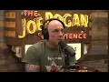 Joe Rogan on issues with Immigration and Racism
