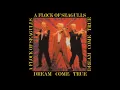 Lagu A Flock Of Seagulls - Dream Come True [Full CD Album] 1986
