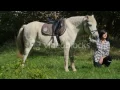 PRETTY BRUNETTE WOMAN WITH A WHITE HORSE RIDING RNFMJD2XE