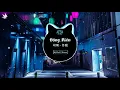 Đông Miên 司南 - 冬眠 (DJ Pad仔 Remix)