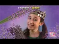 Lavender's Blue - Mother Goose Club Playhouse Kids Video