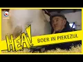 Download Lagu HEA! Boer in Piekezijl