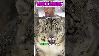 How SAILBOAT Brands Got Their Names- Ep 342 – Lady K Sailing #sailboat #sailboatlife #youtubeshorts