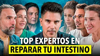 REVIERTE 20 AÑOS de DAÑO DIGESTIVO: el Protocolo de los Mejores Expertos en Intestino