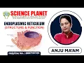 Endoplasmic Reticulum Structure Function by Anju Mam of Science Planet