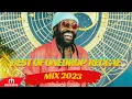 BEST OF ONE DROP REGGAE RIDDIMS MIX 2023 JUICE MIX BY DJ VESTUS FT CHRIS MARTIN,ALAINE,TARRUS RILEY Mp3 Song Download