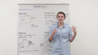 Nutrient Cycles