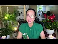 Download Lagu Ánh Sáng Của Bạn  Quá Rực Rỡ !