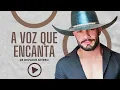 Download Lagu MUSIC REPÉRTORIO MAIS COMPLETO DIOVANE SEVERO  PISEIRO NAS COMITIVAS DO VAQUEIRO XOTE