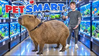 I Took The World’s Largest Rodent Shopping!!