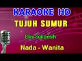 Download Lagu TUJUH SUMUR - Elvy Sukaesih | KARAOKE Nada Wanita