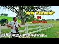 Download Lagu ✅️ JELAJAH LADANG LEMBU SUSU TERBESAR DI MALAYSIA. TAK SANGKA ADA DI LEMBAH KLANG