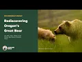 Rediscovering Oregon s Great Bear