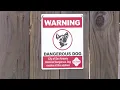 ACS is investigating more dangerous dog cases in San Antonio Why is compliance down