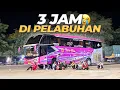 Download Lagu SHOCK CULTURE NYEBRANG DISINI ‼️ Tiara Mas Jakarta - Bima #7 