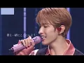 Download Lagu 【SEVENTEEN 日本語字幕】Kidult(어른아이)