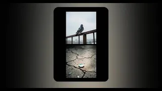 رأسي ضجيج دندنها
