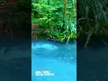 KALI BIRU RAJA AMPAT - PAPUA BARAT DAYA #papuabaratdaya #everlastingphotoart #rajaampat