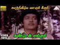 Download Lagu கண்டனே எங்கும் HD Video Song | காற்றினிலே வாரும் கீதம் | முத்துராமன் | கவிதா | இளையராஜா