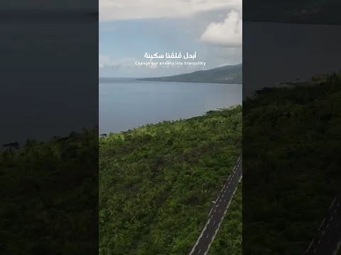 اللهم أبدل قلقنا سكينة 🤍