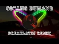 Download Lagu DJ_Oniick - Goyang Dumang (BREAKLATIN REMIX) 