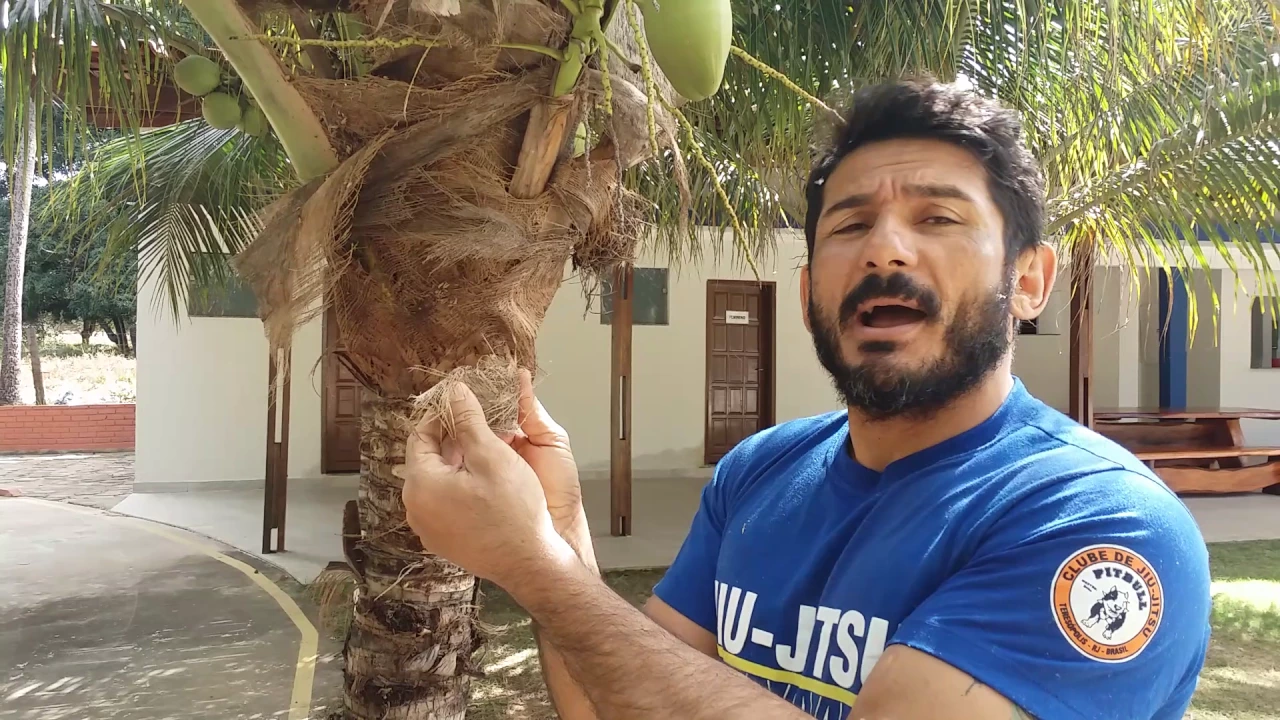 O USO DE PARTES DA PALMEIRA E COCO SECO NO PLANTIO DE ORQUÍDEAS
